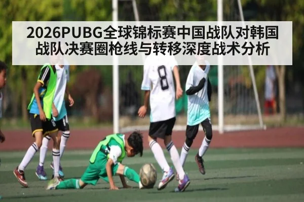 2026PUBG全球锦标赛中国战队对韩国战队决赛圈枪线与转移深度战术分析